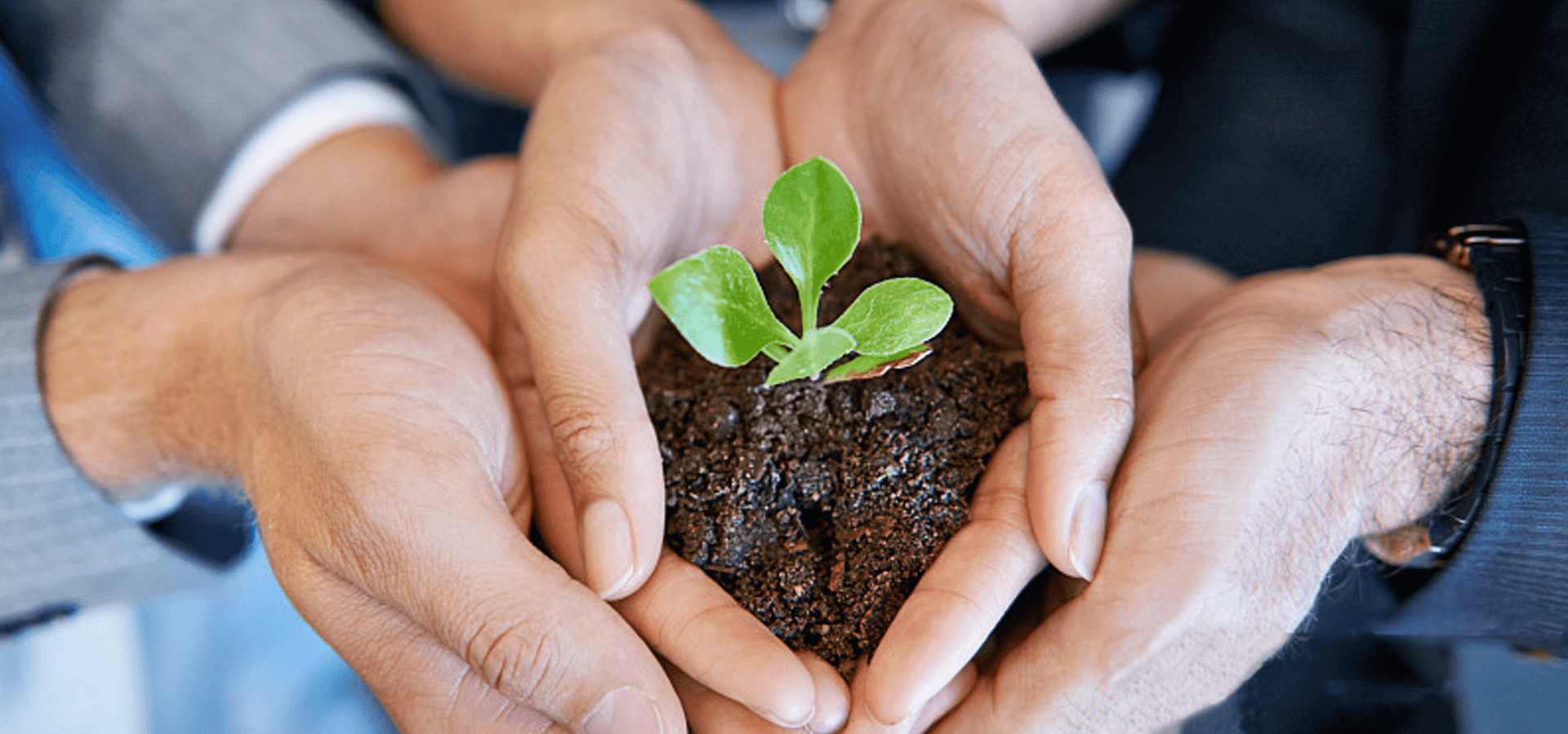 全過程工程咨詢